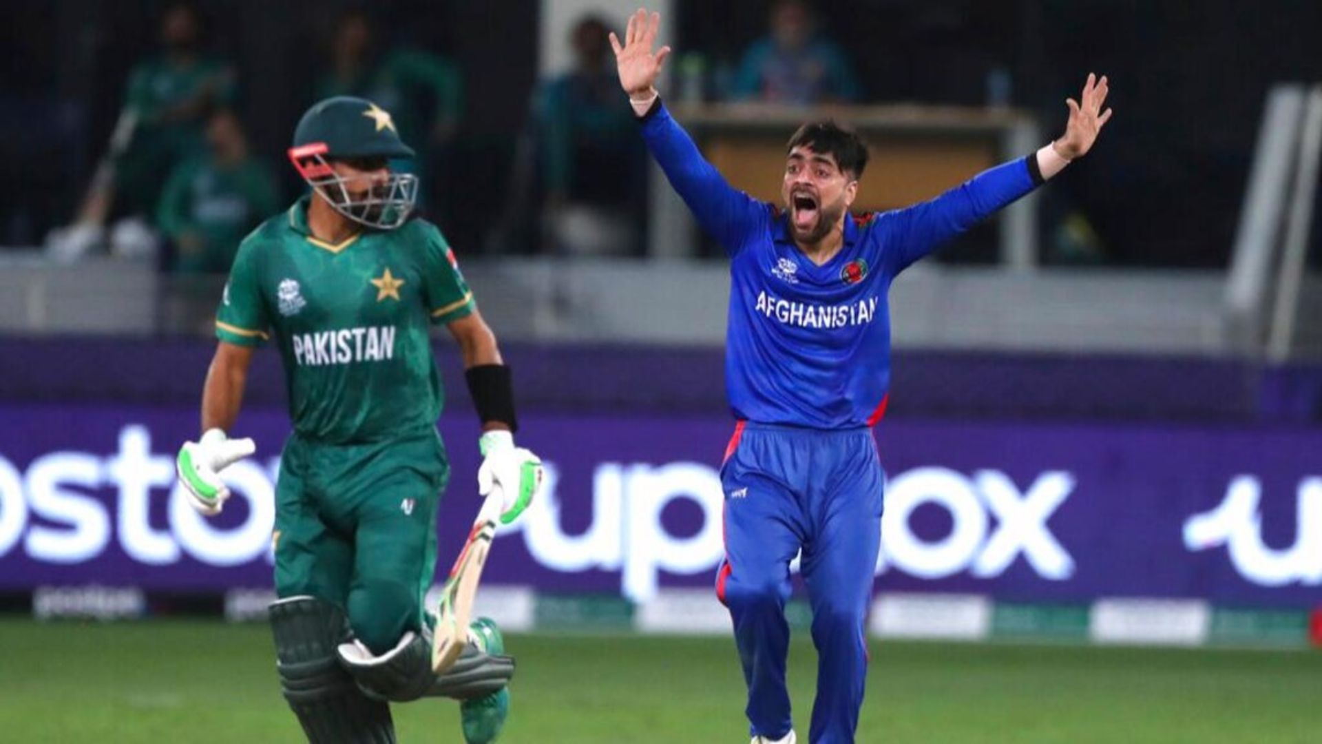 Asia Cup 2023 से पहले पाकिस्तान और अफगानिस्तान में टक्कर, इस देश में होगी वनडे सीरीज