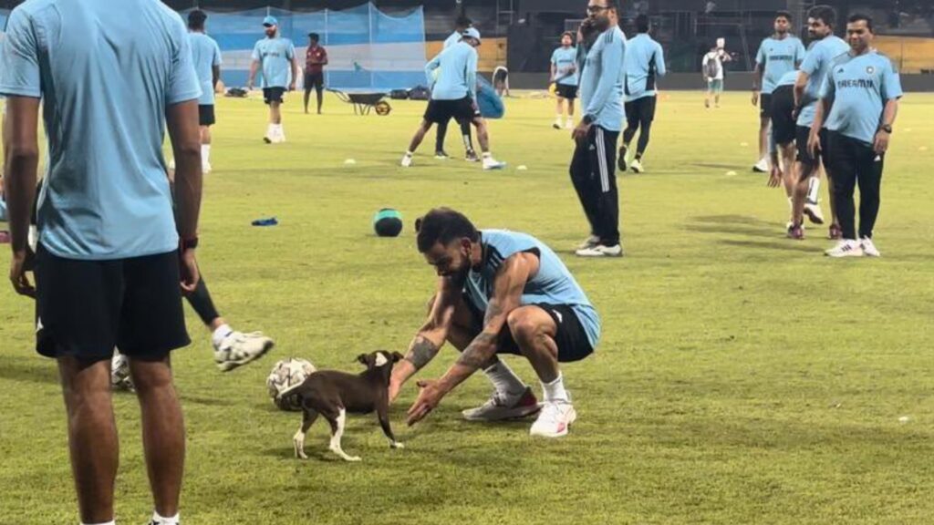 Video: कुत्ते के साथ फुटबॉल खेलते Virat Kohli की वीडियो हुई वायरल