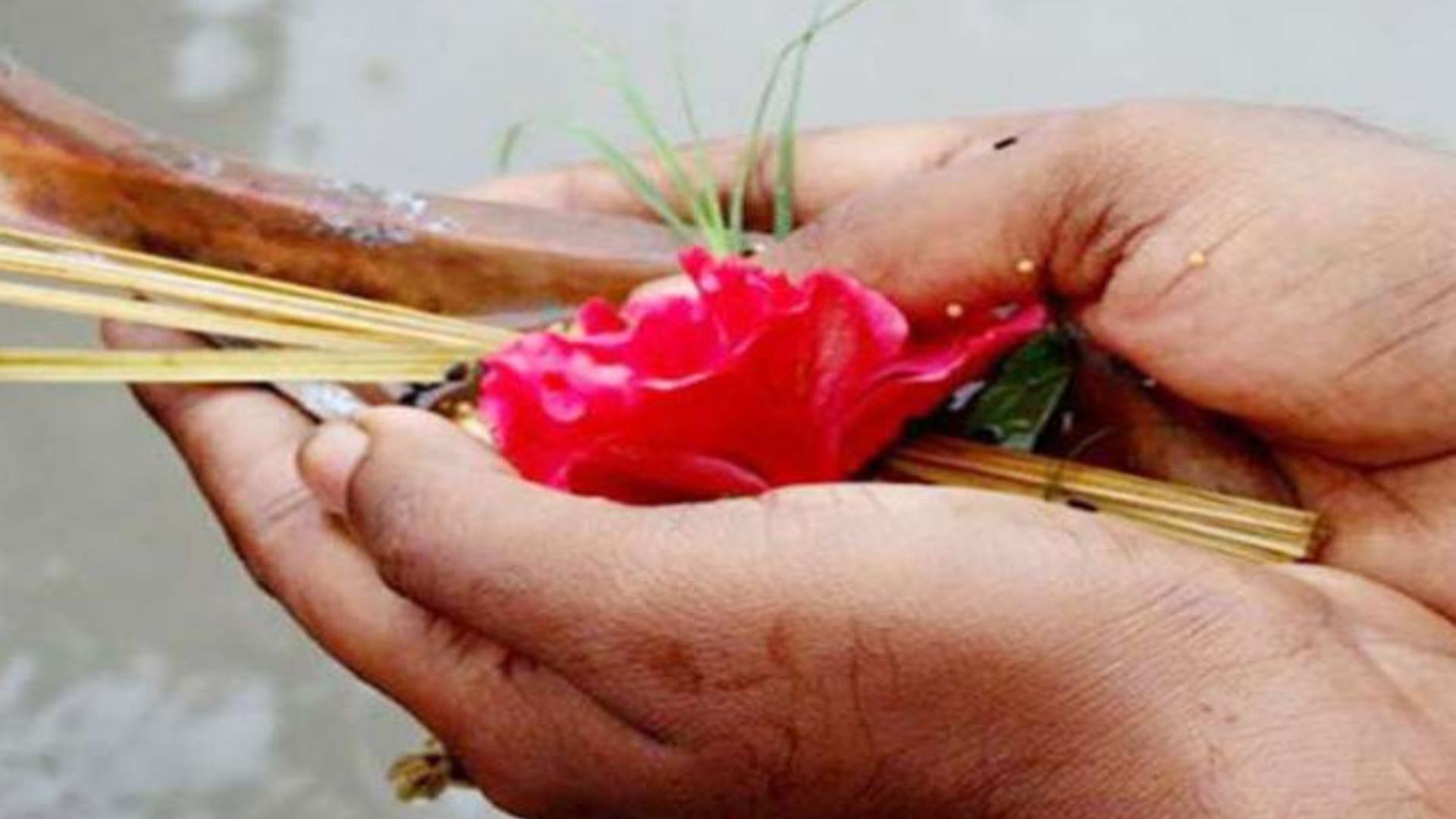 Pitru Paksh 2023: पितृ पक्ष में इन फूलों से करें पितरों का तर्पण
